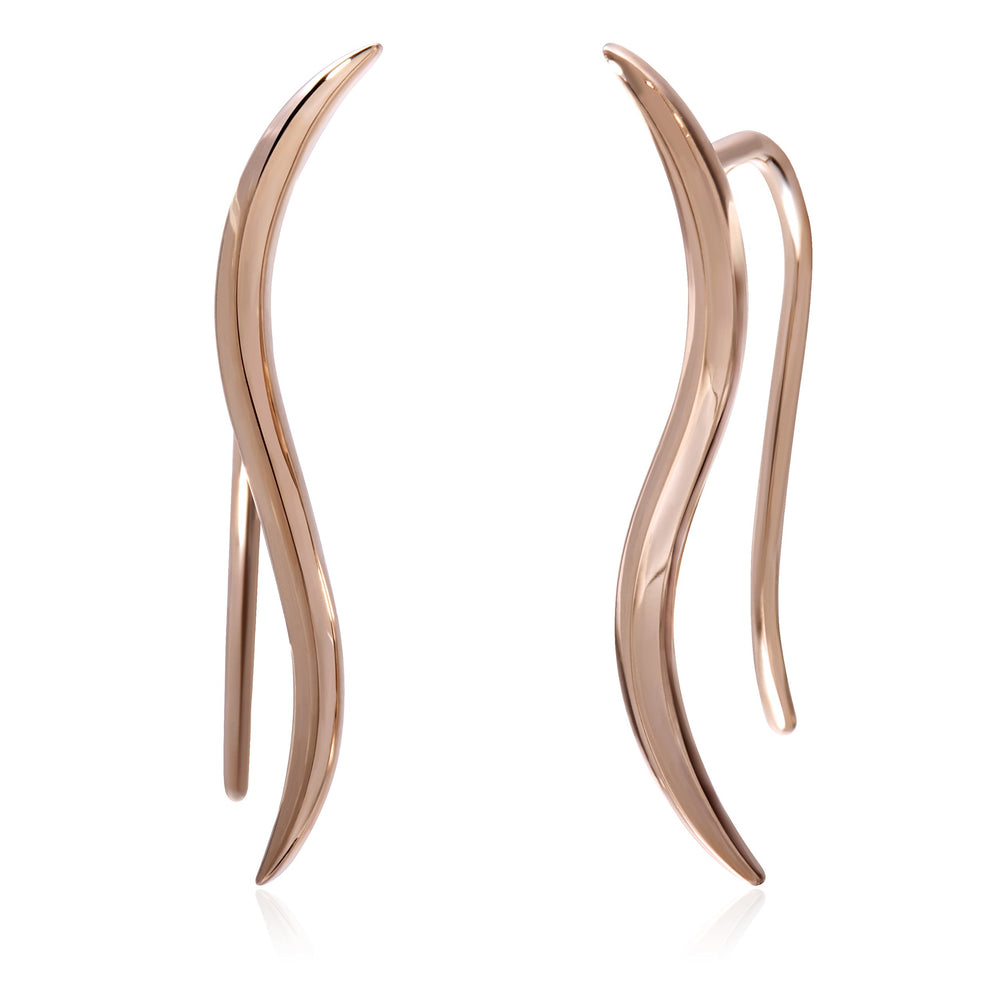 Ear Climber Earrings